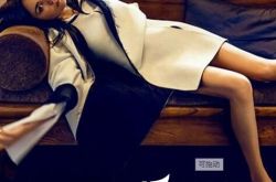 王菲最新杂志大片曝光 天价演唱会门票引发争议 