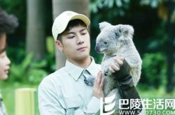 王嘉尔资料大全分享  颜值男神竟然是逗比本质 