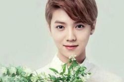 小鲜肉鹿晗高考成绩曝光 网友评论大写的励志 