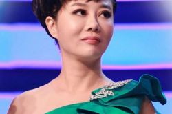 央视主播叶迎春图片 其曾车震被拍 