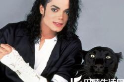 迈克尔杰克逊电影鬼怪 舞王经典缔造传奇时代 