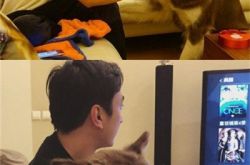 王思聪爱犬微博晒8部高档手机新款 带两美女逛街被拍 