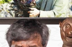 成龙捐赠的兽首复制品将拆除 对于此事大哥回应表示尊重 