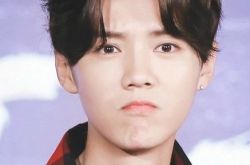 exo前成员鹿晗喜欢过谁 梁朝伟要上真人秀小鹿有望加盟 