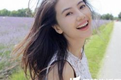 演员高圆圆的电视剧有多少 女神真的没有怀孕 