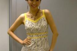 情书张英兰创收视最高峰  美貌和智慧并存的韩国知名MC 