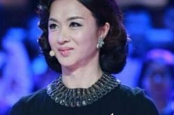 揭秘金星秀家暴王姐是谁 扒一扒被金姐骂惨的艺人 