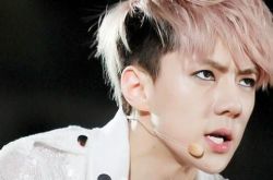 网曝exo世勋图片大全  与Irene热恋粉丝大呼要哭瞎 