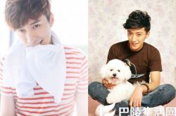 乔任梁意外死亡惊呆众人 陈乔恩沉寂后吐露心声感众人 