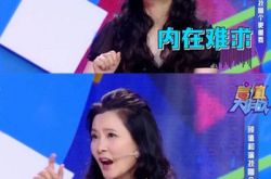 何赛飞怒斥小鲜肉耍大牌 网友乱猜测致使多位明星躺枪 