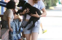 克里斯汀斯图尔特电影集合 暮光之城使其成为最火女演员 