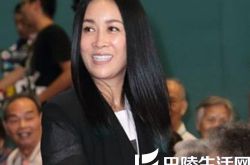 那英演唱会嘉宾刘德华 两人友情关系大揭秘 