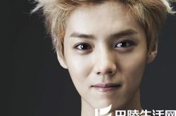 exo咆哮鹿晗比心形粉丝心碎 揭秘其个人时期的发展史 