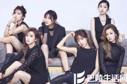 apink组合照清纯吸睛 粉丝数超少女时代立证大势 