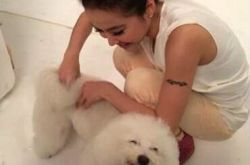 蔡依林的狗狗叫什么？  跳舞皇后寂寞时候和狗玩 