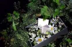 安宰贤求婚具惠善甜炸旁人 因戏结缘闪电结婚 