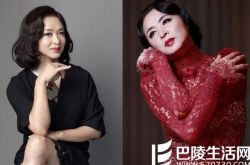 名嘴金星手撕王菲 声称不会去看演唱会 