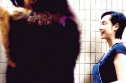 歌星黄贯中朱茵藏獒图片 凶猛巨型藏獒高出人两个头 