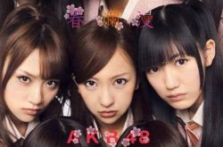 日本组合akb48神七成员 永远的顶点，最初的神七 