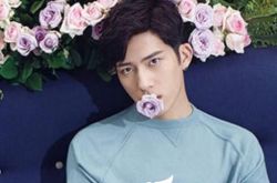 小鲜肉井柏然电影票房高  荣登票房冠军宝座 