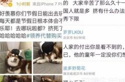 王思聪用“狗”调侃出游的国人 引起网友狂喷揭其不幸童年 