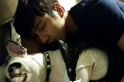 崔始源养的狗是什么品种 他与刘雯CP受到很高的评价 