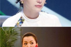 央视一姐董卿曝春晚潜规则 默认节目当托事实 