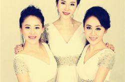 黑鸭子组合成员情况介绍 合声魅力非凡甘为他人作绿叶 