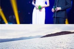 angelababy即将为人母 怀孕数月受到众人祝福 