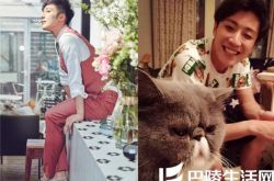 因抑郁症乔任梁意外死亡 马蓉妈妈称其自杀是因为想红 