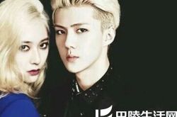 夫妇勋晶我结婚了有望出演 网友直呼颜值逆天 