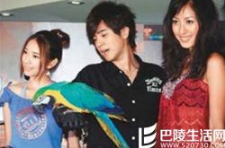 周采诗罗志祥是什么关系  小猪撇蔡依林夜会女友 