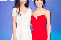 高圆圆气质分析令人称赞 完美亮相完胜baby 