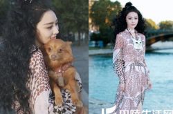 张馨予爆炸头亮相时装周 只身一人看电影显落寞 