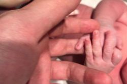 陈赫宣布当爸爸 张子萱陈赫疑似奉子成婚