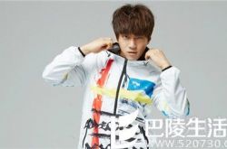 《爸爸4》黄致列下车向佐接班 向佐个人资料大曝光