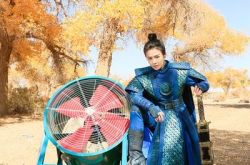 将军在上叶昭嫁给谁了 将军在上叶昭和赵玉瑾在一起了吗 将军在上叶昭结局