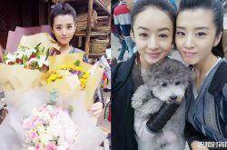 特工皇妃楚乔传仲雨结局揭秘 楚乔传仲雨扮演者资料介绍