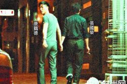 唐鹤德新男友是谁 唐鹤德心系张国荣不因死亡而终止