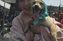 陈乔恩的狗叫什么名字？陈乔恩拯救待宰小暴牙