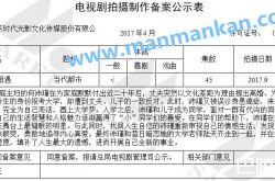 第二次相遇剧情简介介绍 一共多少集|有几集