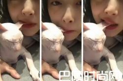 崔雪莉的猫什么品种？崔雪莉直播吸猫被骂