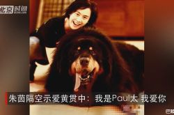 揭秘黄贯中如何抱得美人归 原来黄贯中朱茵的红娘是它