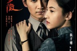 《红蔷薇》曝“情仇两顾”版海报 杨子姗陈晓关系成谜