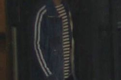 黄晓明夫妇现身机场VIP通道 躲粉丝照顾家人