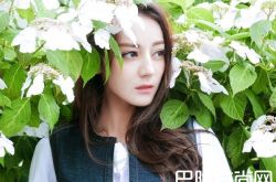 迪丽热巴日本走红 迪丽热巴日本怎么了？