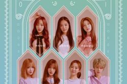 公园少女成员介绍 9月出道的7人女子团体