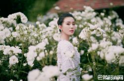 刘诗诗微博被降级了 忙于约会微博也不更了