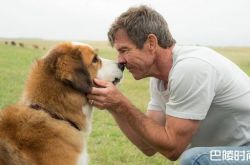 SJ-M Henry闯好莱坞 开拍《一条狗的使命》续集