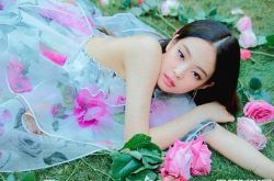 JENNIE杀出11月歌坛血路 单曲《SOLO》直接空降7榜冠军